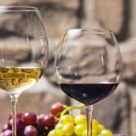 Melhores vinhos portugueses são apresentados no Brasil